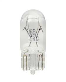 T3.25 Incandescent Bulb